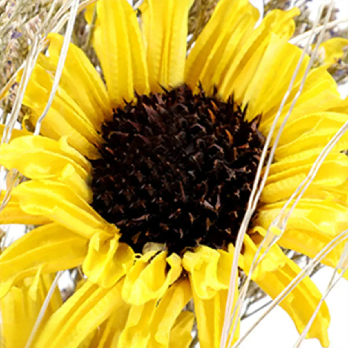 Enchanted Sunflower Lamp | Glass Dome LED Light with Copper Wire Glow