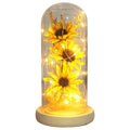 Enchanted Sunflower Lamp | Glass Dome LED Light with Copper Wire Glow